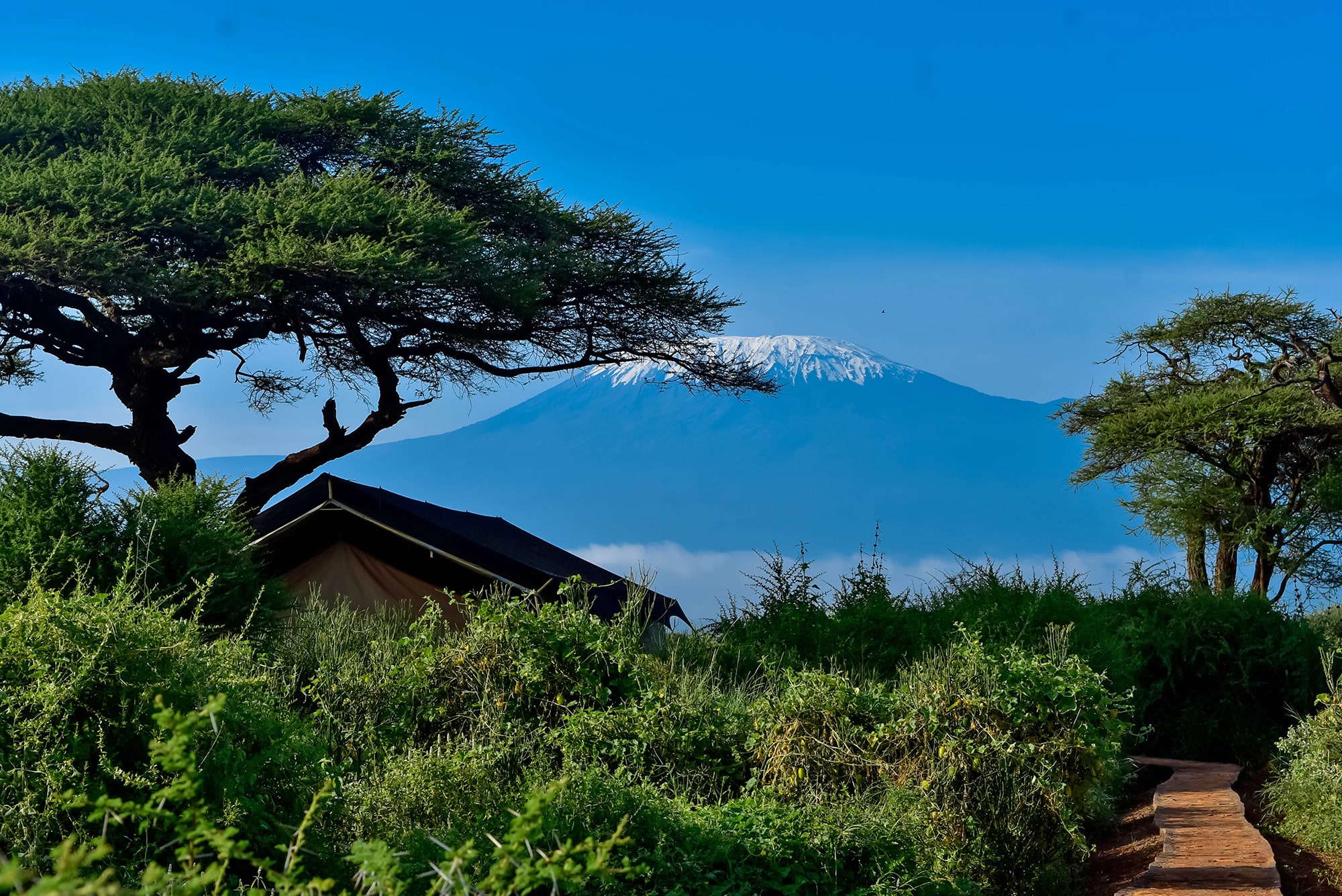 Tulia Amboseli Safari Camp